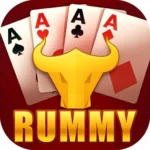 Rummy Perfect